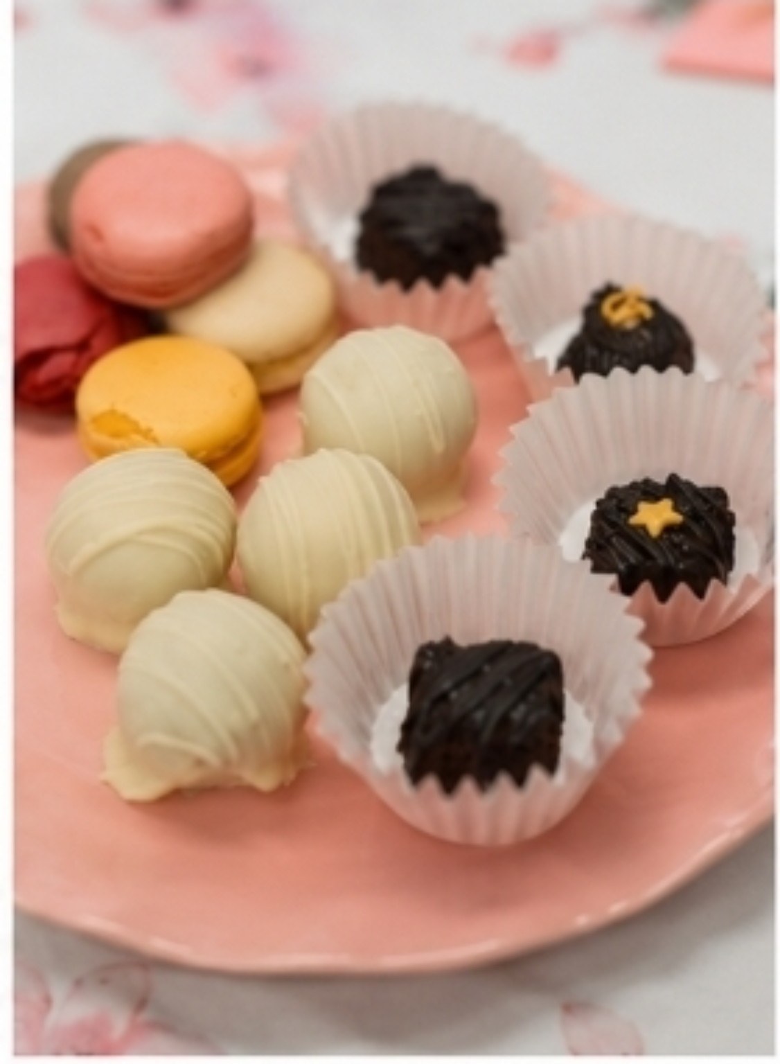 Macarons, truffles and chocolate tasting selections